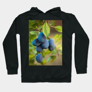 Ripe blue plums in an orchard Hoodie